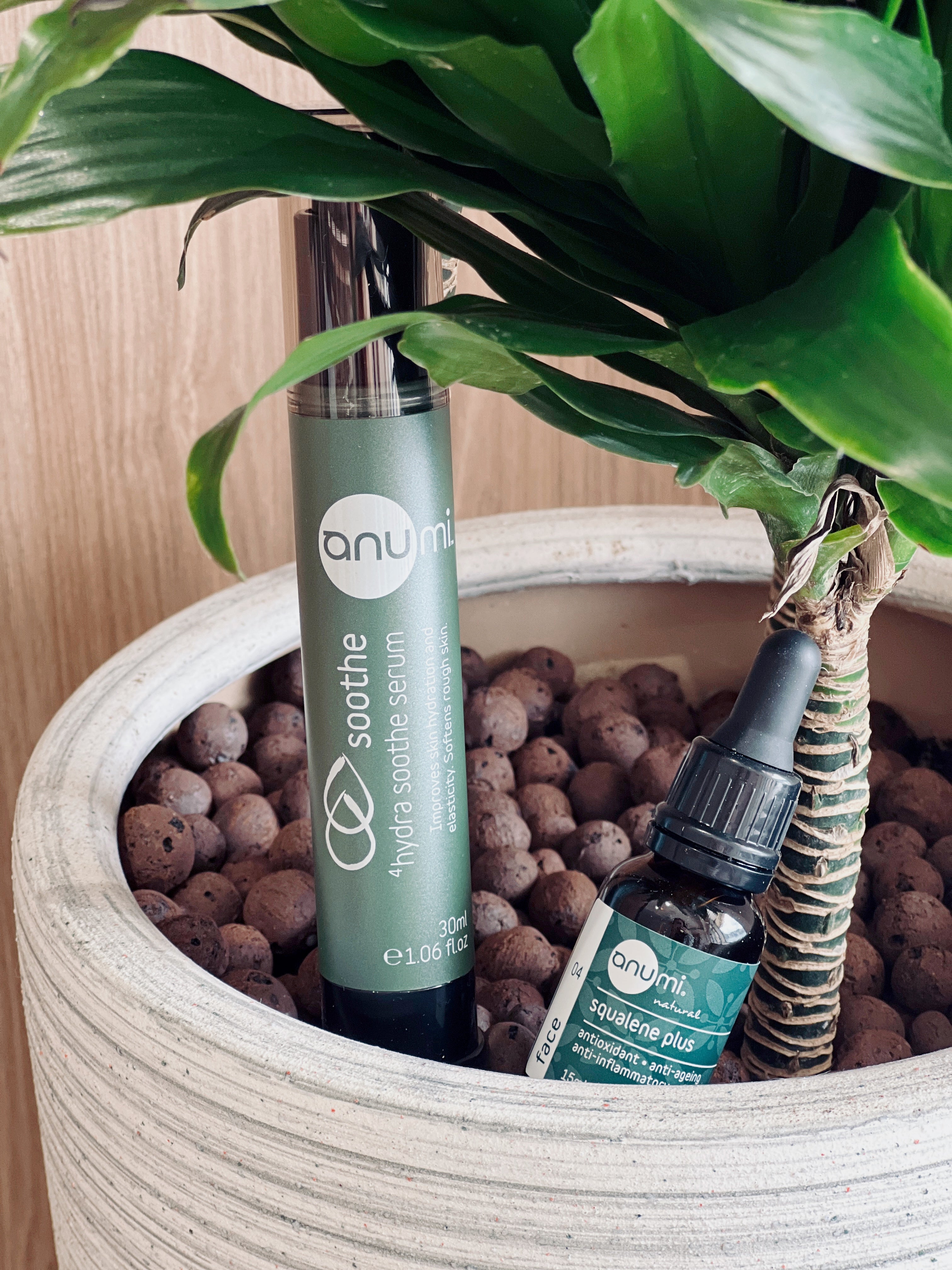 Asian Lifestyle brand with its roots for wellness and clean beauty