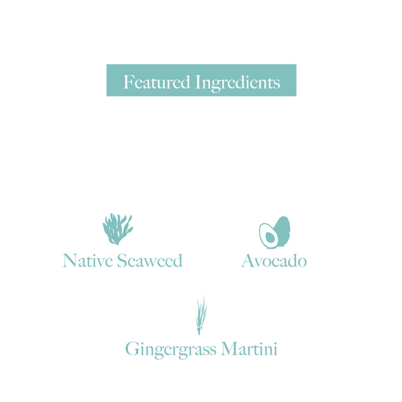 Botany Naturals Hand & Body Wash Native Seaweed, Avocado, Gingergrass Martini Featured Ingredients